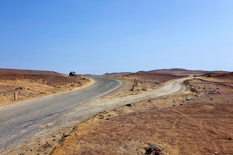 2 days from Lima Ballestas, Paracas, Huacachina and Nazca