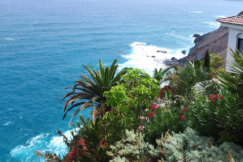 Percurso pedestre de 1 a 2 horas por Puerto de la Cruz, Tenerife