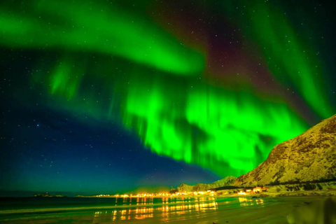 Tromsö: Norrskenstur med fotografering (kinesiska)