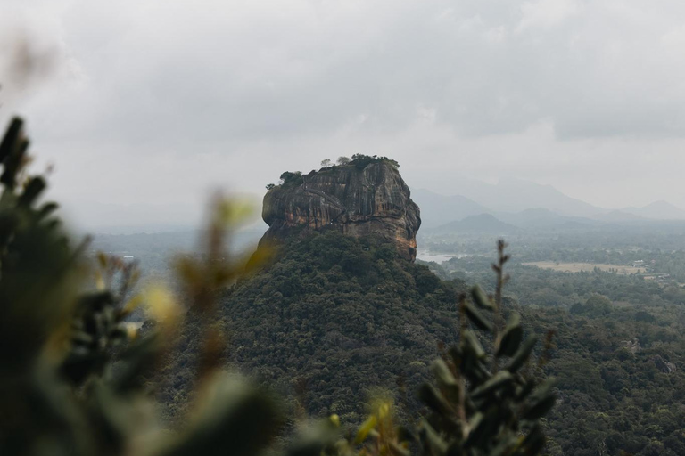 Colombo: a la Roca de Pidurangala y Excursión al Pueblo con Safari