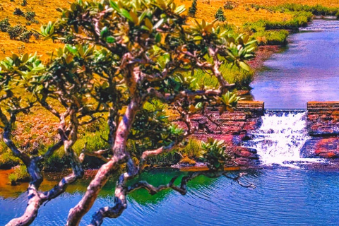 Sri Lanka: 10-Day Wildlife, Culture & Scenic Adventure