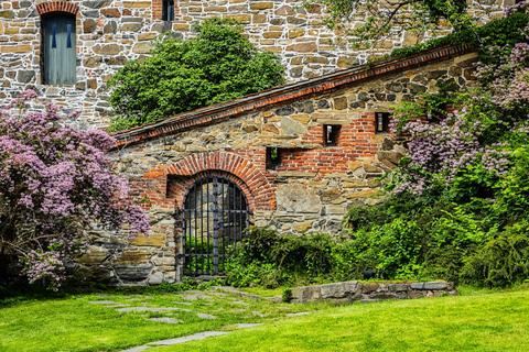 Oslo Old Town Country History Private Guided Walking Tour 2-hour: Old Town Tour