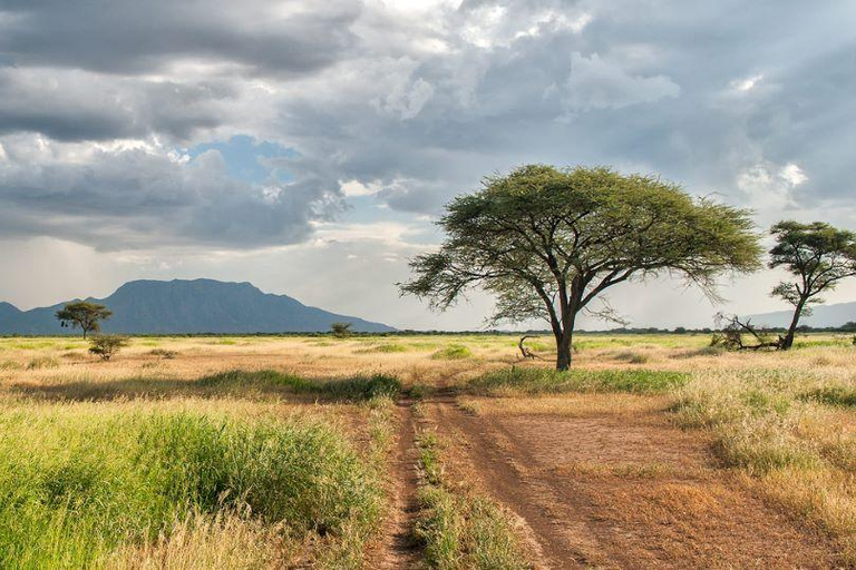 From Nairobi: Lake Magadi 2-Day Trip with Game Drive & Hike