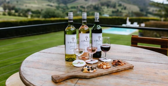 INDIVIDUELLE PRIVATE WEINTOUR MIT MITTAGESSEN – KAPSTADT