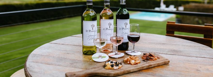 VISITE PRIVÉE PERSONNALISÉE DES VIGNOBLES AVEC DÉJEUNER - LE CAP