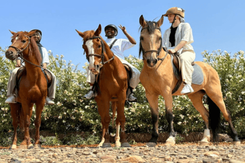 Marrakech : Randonnée à cheval dans le désert et la Palmeraie &amp; transfert