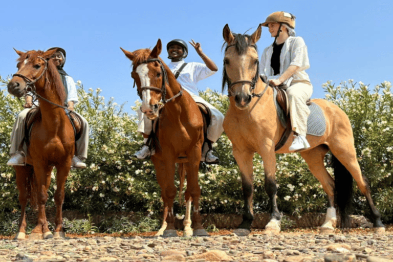 Marrakech: Excursión y Traslado a Caballo por el Desierto y la Palmeraie