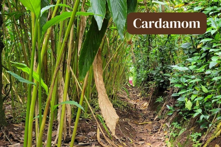 Spice Farm, Stone Town, Prison & Nakupenda+pick up+entry fee