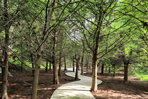 Batumi: Dendrological Park, Mini Georgia & Musician park