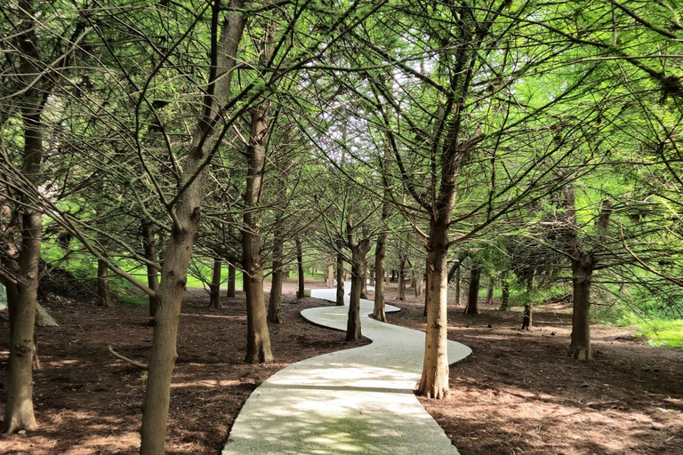 Batumi: Dendrological Park, Mini Georgia & Musician park