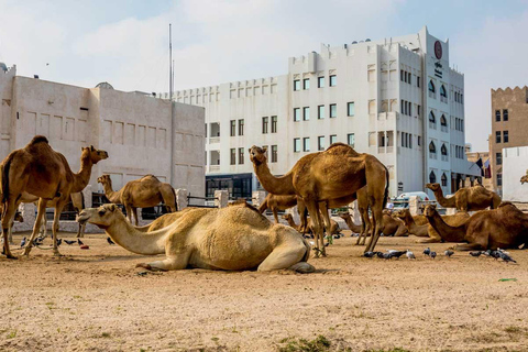 Doha: Guided City Tour with Souq Waqif and Pearl Island