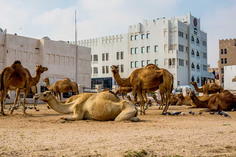 Doha: Guided City Tour with Souq Waqif and Pearl Island