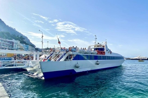 Ischia: Boat Ride around Procida with Time on the Island Procida: Boat Tour