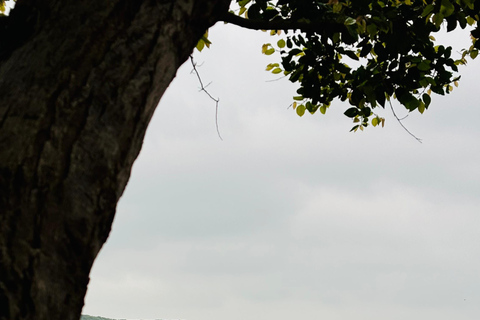 Jaipur: Passeio de bicicleta guiado pelo património de Amber com pequeno-almoçoCiclismo com café da manhã