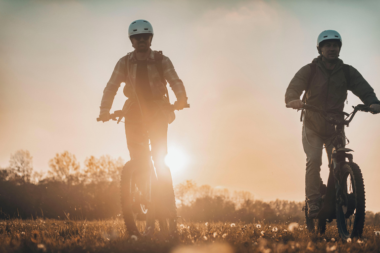 Ghent: Green Snake E-Step Tour with Local Guide