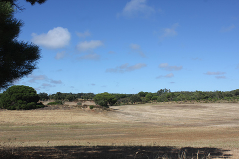 Costa Alentejana: Horse tour in Serra de Grândola