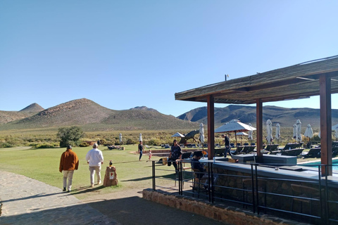Cape Town Big 5 afternoon safari with lunch and transport