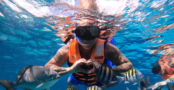 Cozumel: Chankanaab Snorkeling Tour with a Live Guide, Day Pass with Lunch