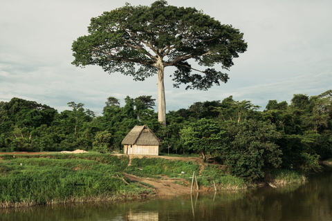 4 Días, 3 Noches Tour Yasuní