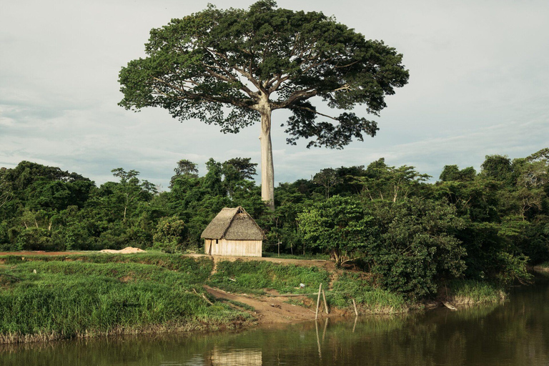 4 Días, 3 Noches Tour Yasuní