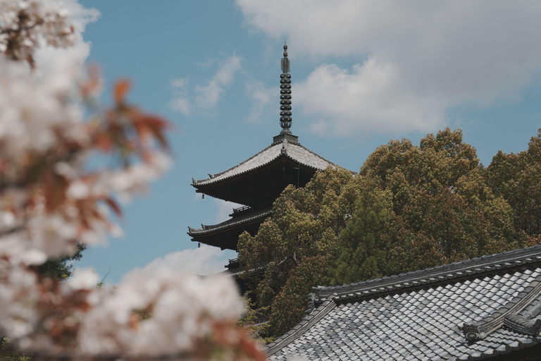 Kyoto Customisable Private Tour with a Local Guide