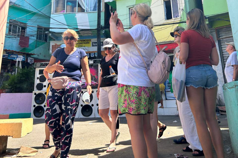 Rio de Janeiro : Favela Santa Marta Top Tour avec guide local