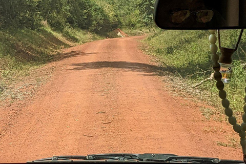 Kwale: Private day tour to Shimba Hills with Picnic lunch