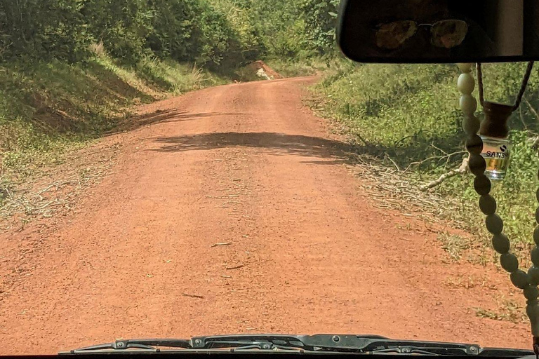 Kwale: Private day tour to Shimba Hills with Picnic lunch