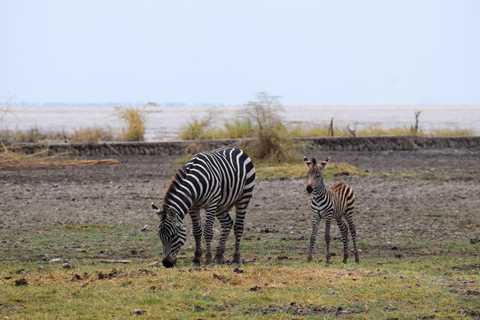 Viaggio di due giorni al Lago Manyara con canoa e passerella tra le cime degli alberiCampeggio a Karatu