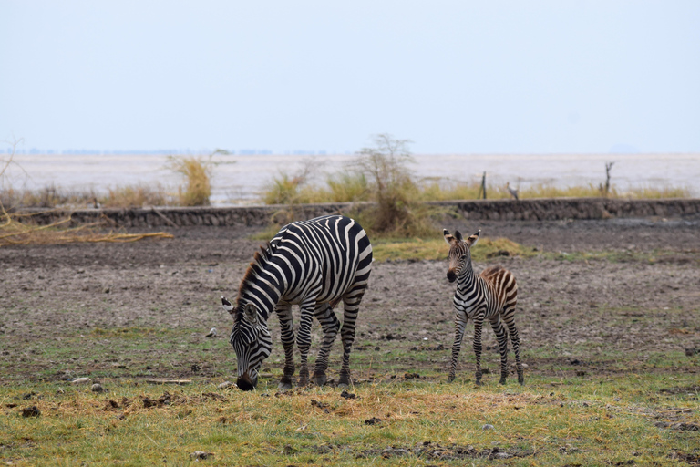 Viaggio di due giorni al Lago Manyara con canoa e passerella tra le cime degli alberiCampeggio a Karatu