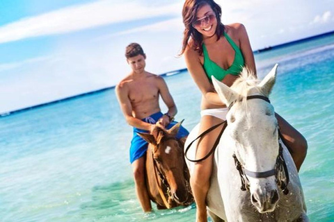 Saint Lucia Horseback Riding: Explore the Island in Style