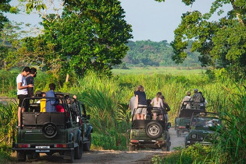 Chitwan Jungle safari 2 Nights 3 Days from Kathmandu Jungle safari 2 Nights 3days from Kathmandu