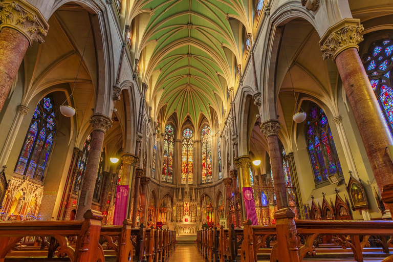 Dubline: Irish Churches and Religion Private Walking Tour 3-hour: 2 Churches & 2 Cathedrals Tour