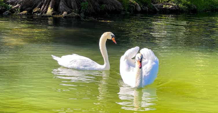 Austin: Lake Austin Scenic Guided Boat Tour - Full Sun Shade photo 19