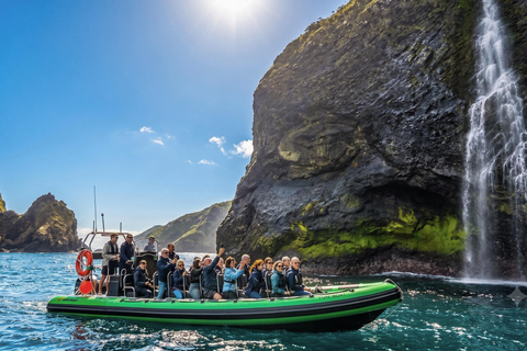 Trip to Vulcanic Corvo Island Including Island Sightseeing