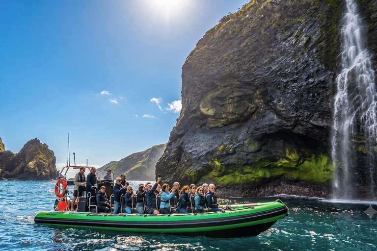 Trip to Vulcanic Corvo Island Including Island Sightseeing