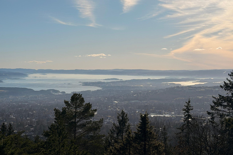 Oslo’s Most Beautiful Fjord Views - light hike version