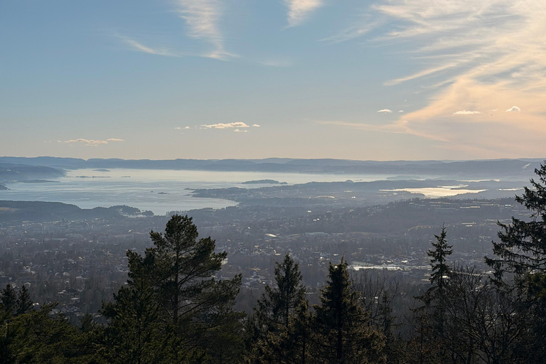 Oslo’s Most Beautiful Fjord Views - light hike version