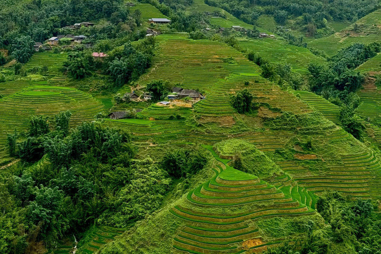 Trekking di un giorno a Sapa: terrazze di riso e villaggi etnici