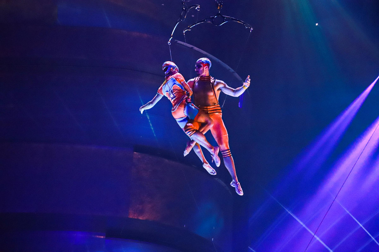 Dubai: kaartjes voor La Perle door Dragone-showLa Perle Gold Ticket