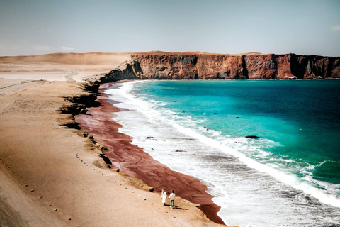 Vanuit Lima: Paracas en Huacachina dagvullende tour met ...