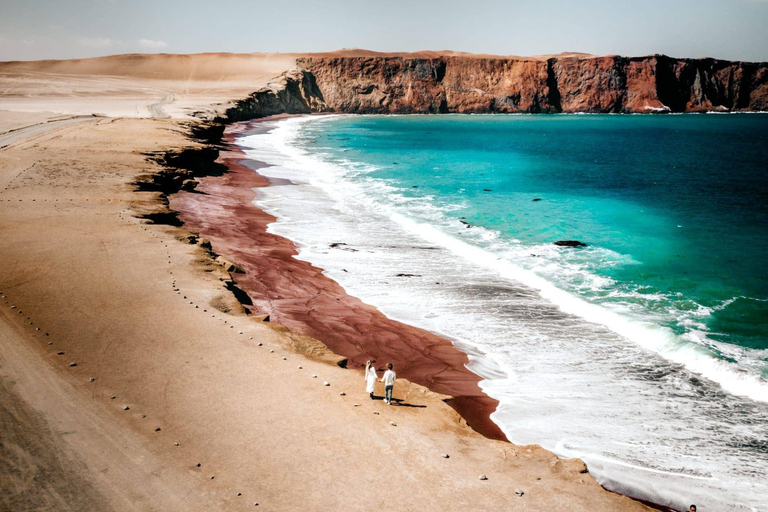 Vanuit Lima: Paracas en Huacachina dagvullende tour met ...