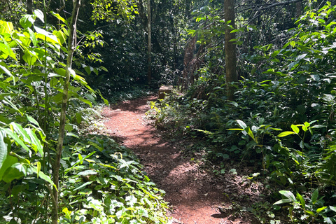 Essence of Iguazú: Full-Day Tour of Iguazú Falls (Brazil Side) and São João Trail Essence of Iguaçu: Full Day at Iguaçu Falls, Brazil, and São João Trail