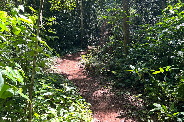 Essence of Iguazú: Full-Day Tour of Iguazú Falls (Brazil Side) and São João Trail Essence of Iguaçu: Full Day at Iguaçu Falls, Brazil, and São João Trail