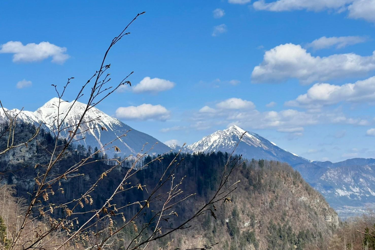 From Bled: Half-Day Pokljuka Gorge Trail Hike (Private)