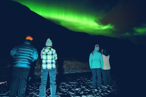 Tromsø: Northern Lights Tour with bonfire, sausages & snacks Tromsø: Northern Lights Guided Tour with Bonfire and Snacks