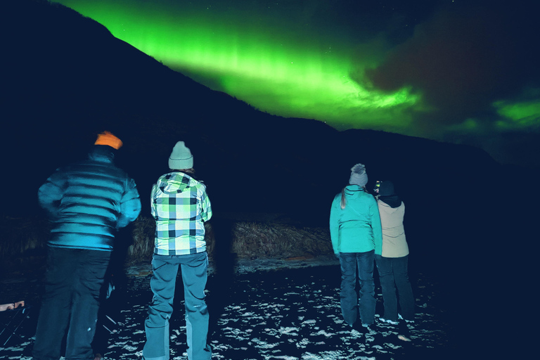 Tromsø: Northern Lights Tour with bonfire, sausages & snacks Tromsø: Northern Lights Guided Tour with Bonfire and Snacks