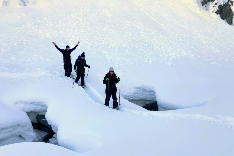 Guided Snowshoeing Adventure from Seward, Alaska 6-Hour Tour