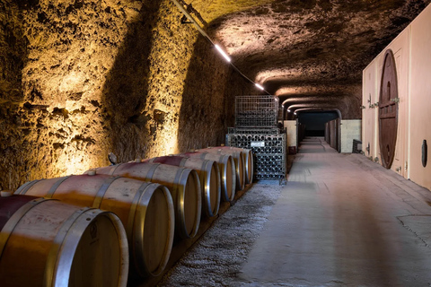 Loire Châteaux:Blois, Amboise & Chenonceau with Wine Tasting