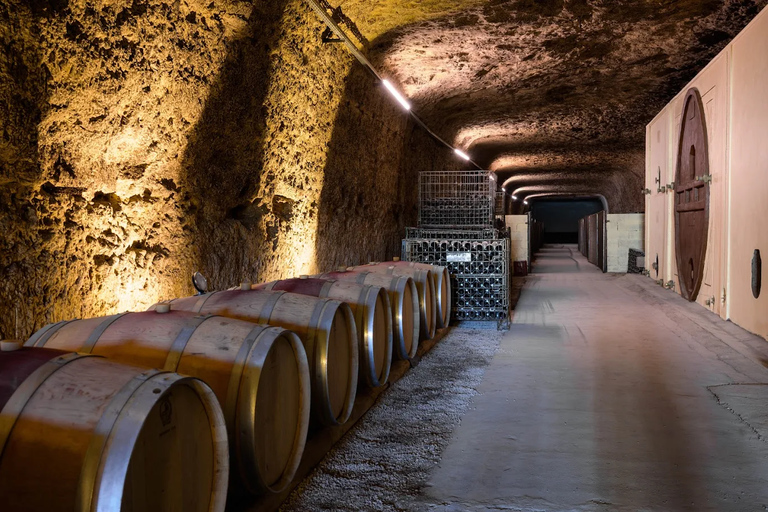 Loire Châteaux:Blois, Amboise & Chenonceau with Wine Tasting